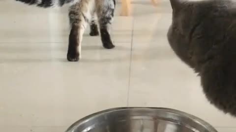 Get out of my way, I'm hungry 😂