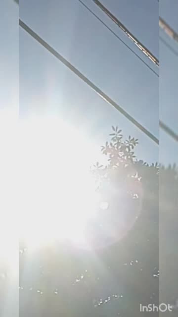 Thankfull Demonstrations