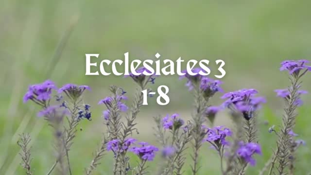 Ecclesiastes 3:1-8 (to every season)