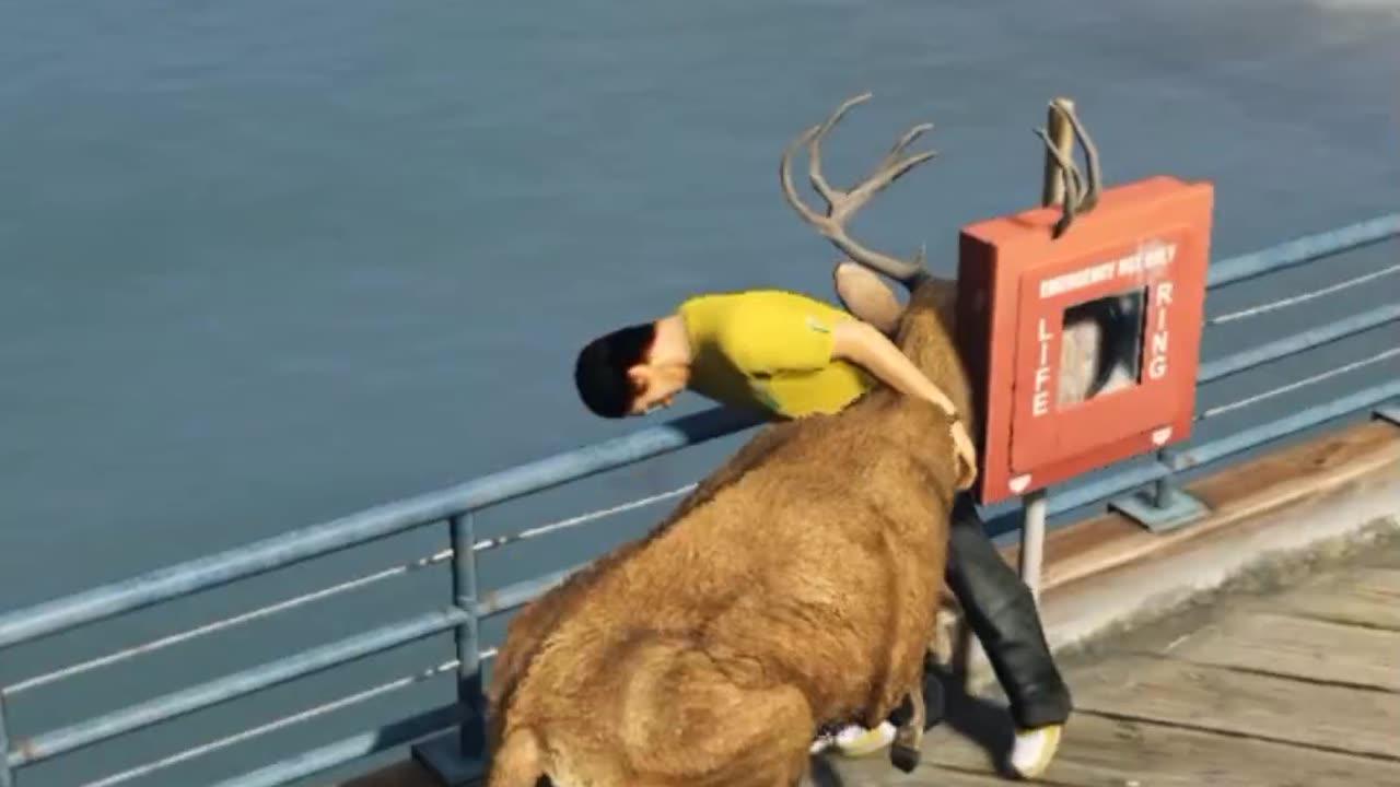 2 Ragdolls funny moments GTA v