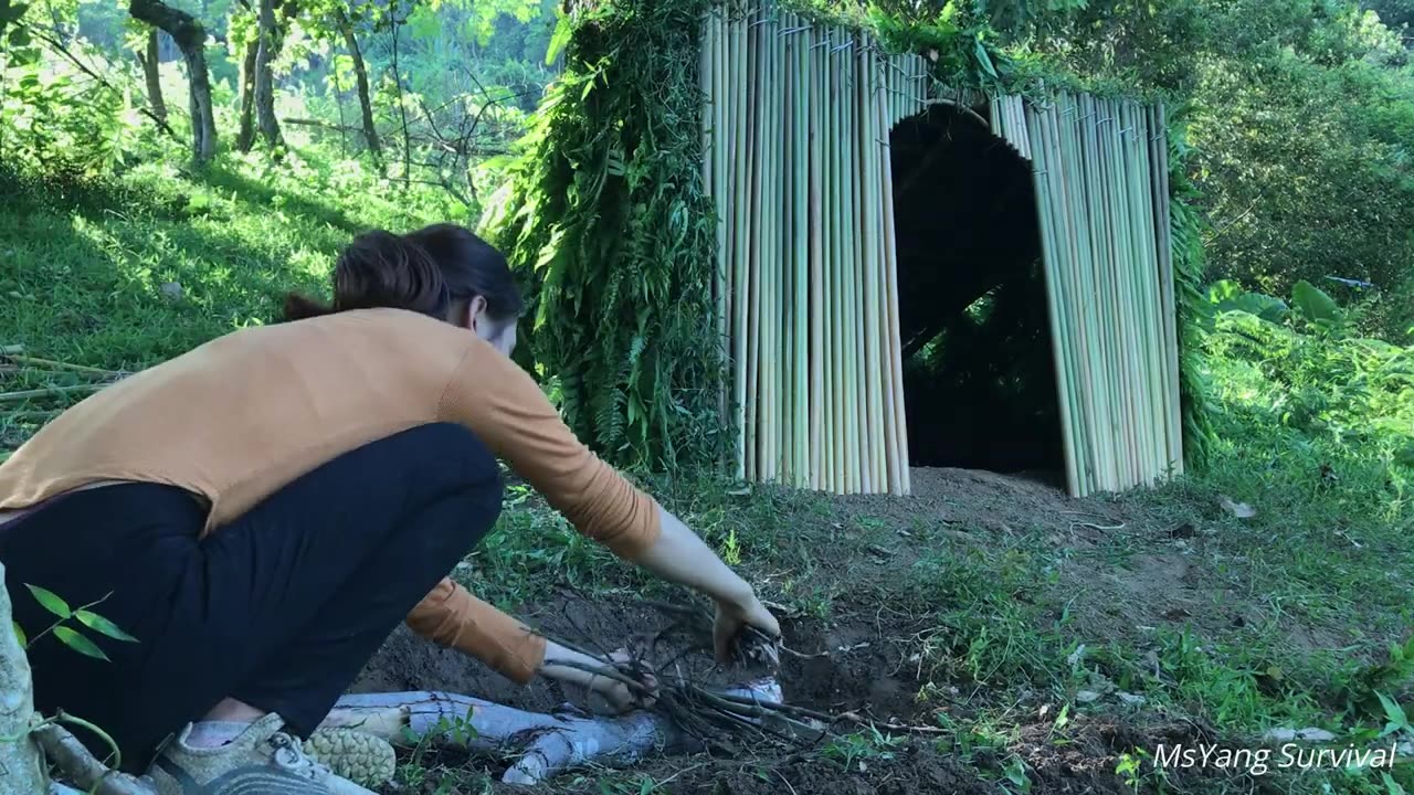 I build a complete shelter by myself, find food to survive and sleep through the night in jungle