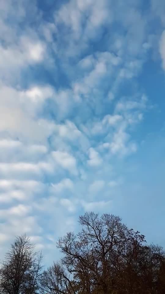 Himmel in Berlin am 10.11.2022 um 15:35 Uhr