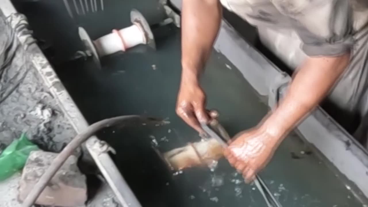 Plastic Recycling #Shots #ytshorts #reproduction #youtubeshorts #viralvideo