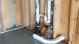 Move in day troubles, YAY!
