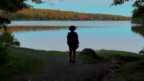 Autumn Treehouse & Cabin Roadtrips-19