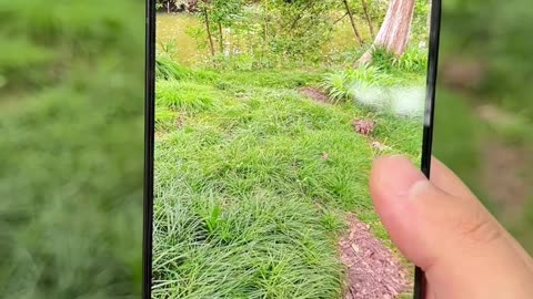 The New Nubia Z50 S Pro Hands-on Video #tech #usa #iphone #trend #trending #gadgets #nobia