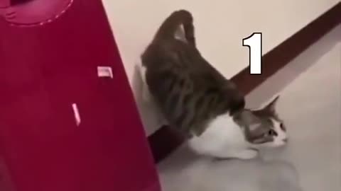 Comment your best caption