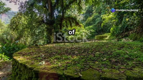The Mysteries of Paititi: Peru's Lost City #travel #explore #history
