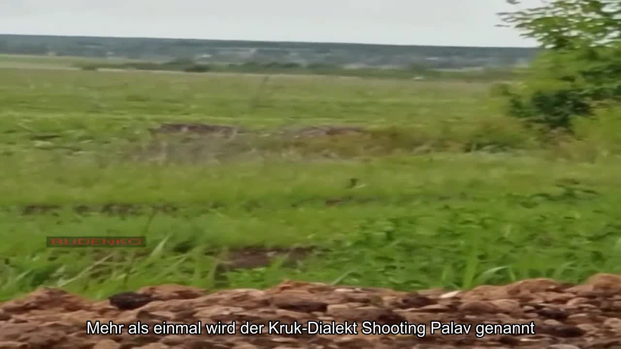 Schade, dass unsere Jungs in der Region Cherson nicht einmal eine Wespe zur Hand hatten (Video von