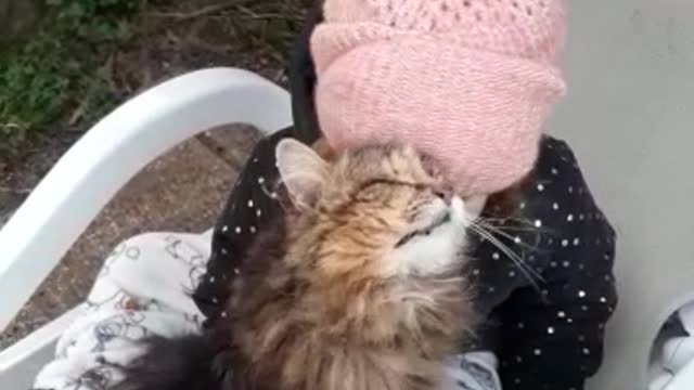 cute cat loves to cuddle with her best friend