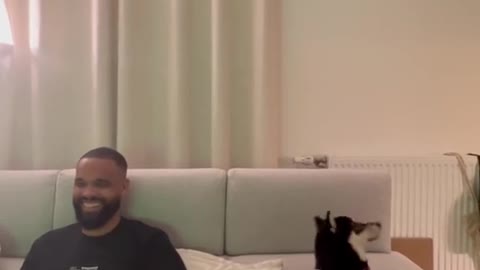 Funny dogs funny video dogs trening dogs video funny video