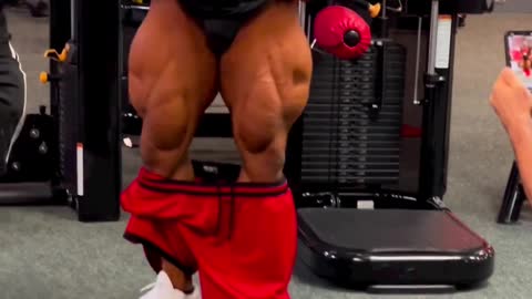 Mr Olympia Bodybuilder