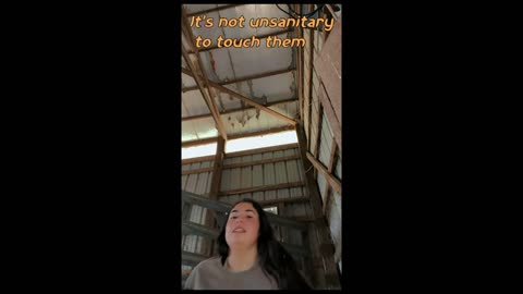 I Won't Kiss A Goat!