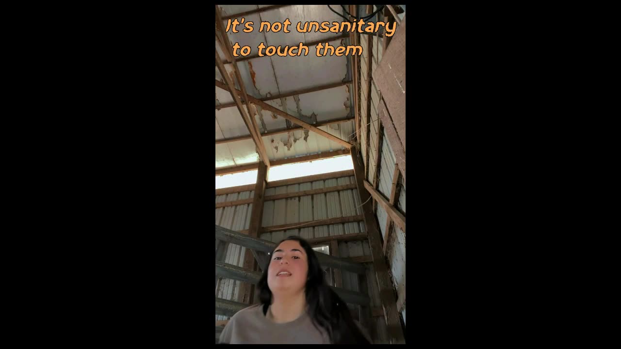 I Won't Kiss A Goat!