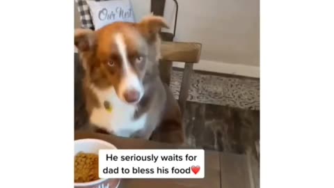 Doggy!!😍