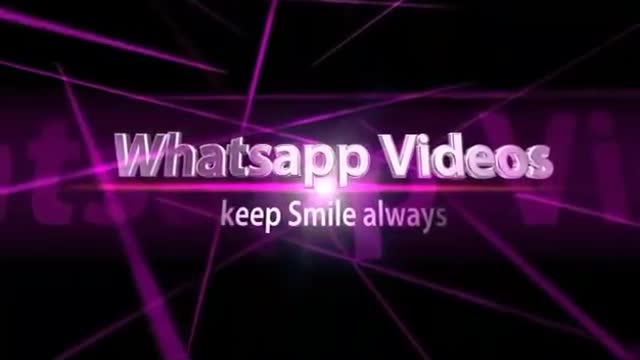 parrot recordings - parrots moving - an entertaining parrot recordings accumulation || new hd