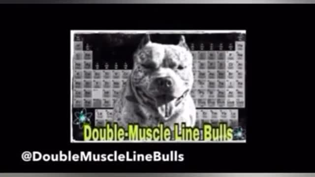 The importance of Subcutaneous fluids (Sub q Fluids) in dogs, puppies & stoping Dehydration‼️