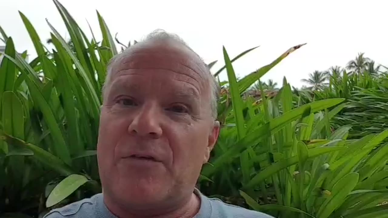 2 Minister hören auf❗Schwimmteam "Covid"❗CFMEU wie die Mafia❗