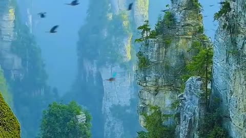Cliff cliff show Qifeng