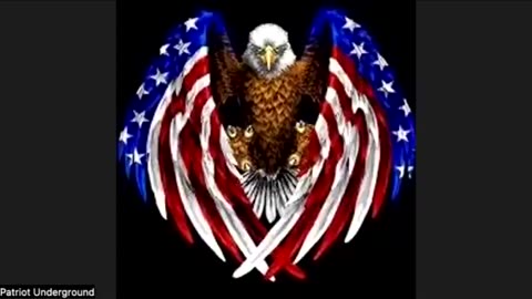 Patriot Underground - JIM WILLIE INTERVIEW -