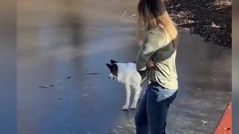 Funny videos part 10