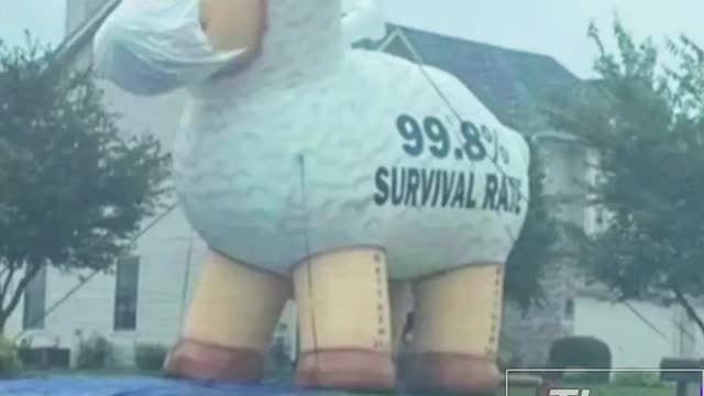 Giant Sheep Balloon With FACTS Printed On It