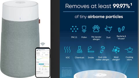 Air Purifiers for Large Home Room
