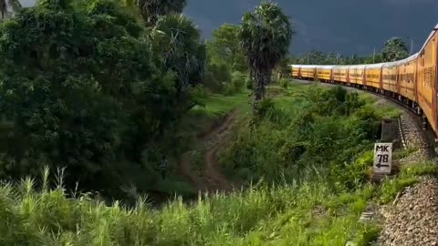 Train 🚂 journey among natural beauty