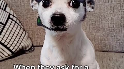 Whene the ask for becoon burger.....