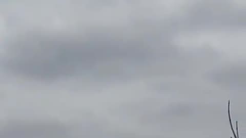 Ukraine Russia War Artillery Launched By Mobile Armored Vehicle