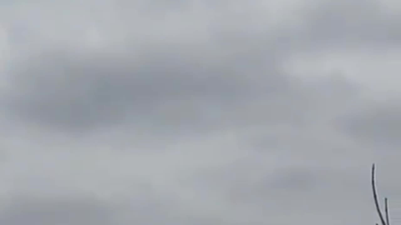 Ukraine Russia War Artillery Launched By Mobile Armored Vehicle
