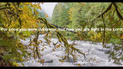 Inspirational words with Nature Scenery and Piano Music. Shared once and only once, Blessings abound