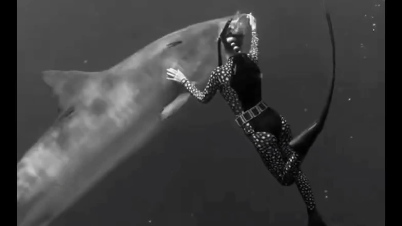 Handle Sharks With Care 💙