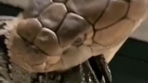I'm feeding you. This is supposed to taste good. ,