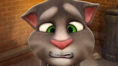 Cat 😺😺😺😺