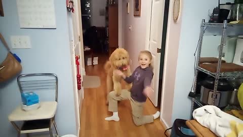 Amazing Bella Tricks