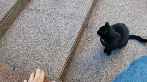 20240421 072949 Tux Pee Break Return