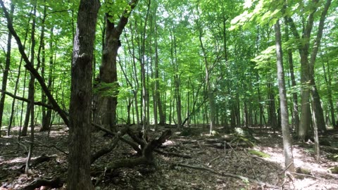 🌴The Old Quarry Trail Part 3 In Ottawa 🍁 Canada 🍂