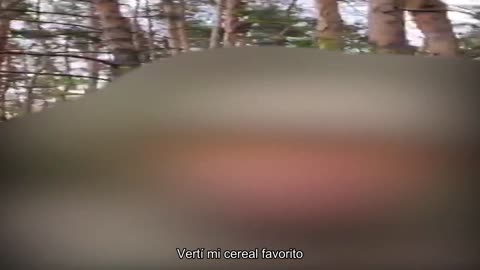 La Legión Internacional lo llama "encender AC️DC". Los sistemas de fuego de volea reactiva funcion