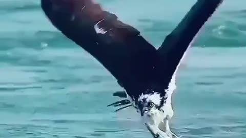 Agar ap ny ye video ni dekhi to kuch ni dekha