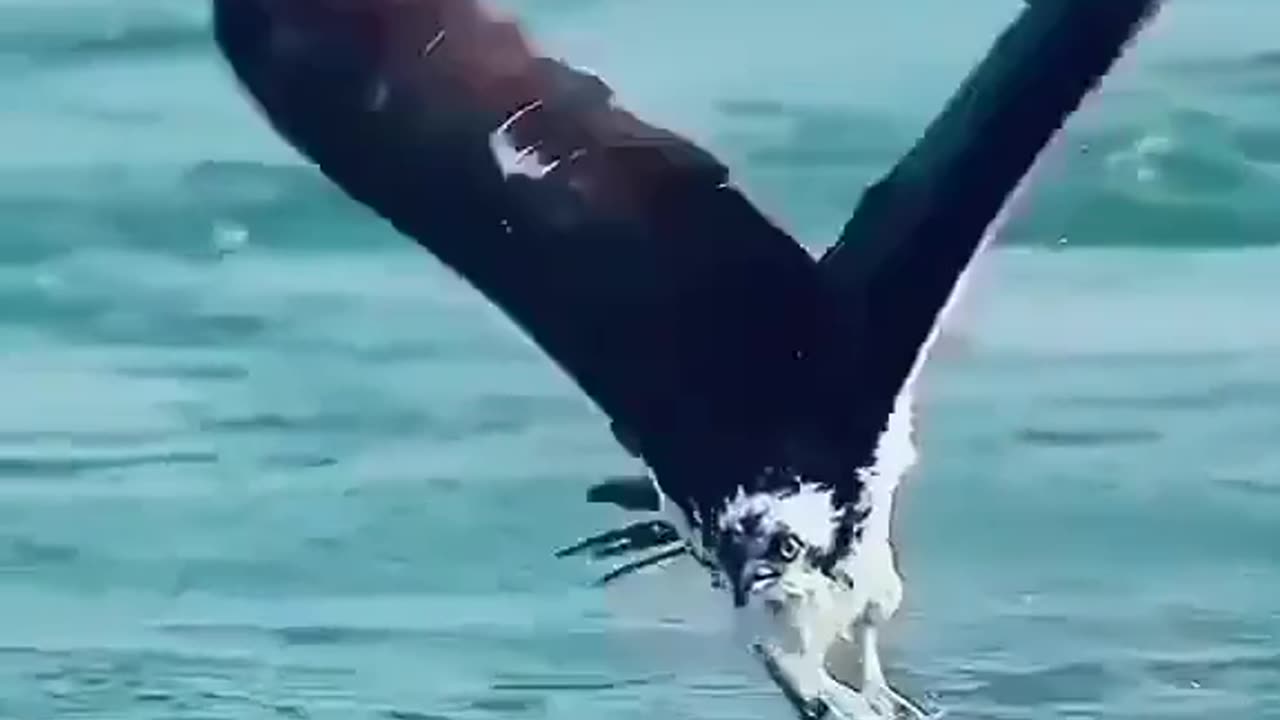 Agar ap ny ye video ni dekhi to kuch ni dekha