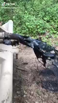 This not good for the earth