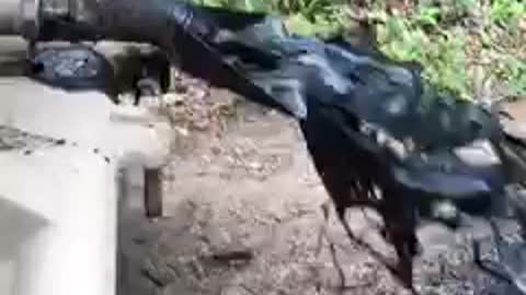 This not good for the earth