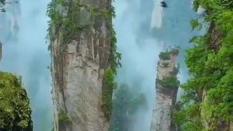 Beauty of Nature