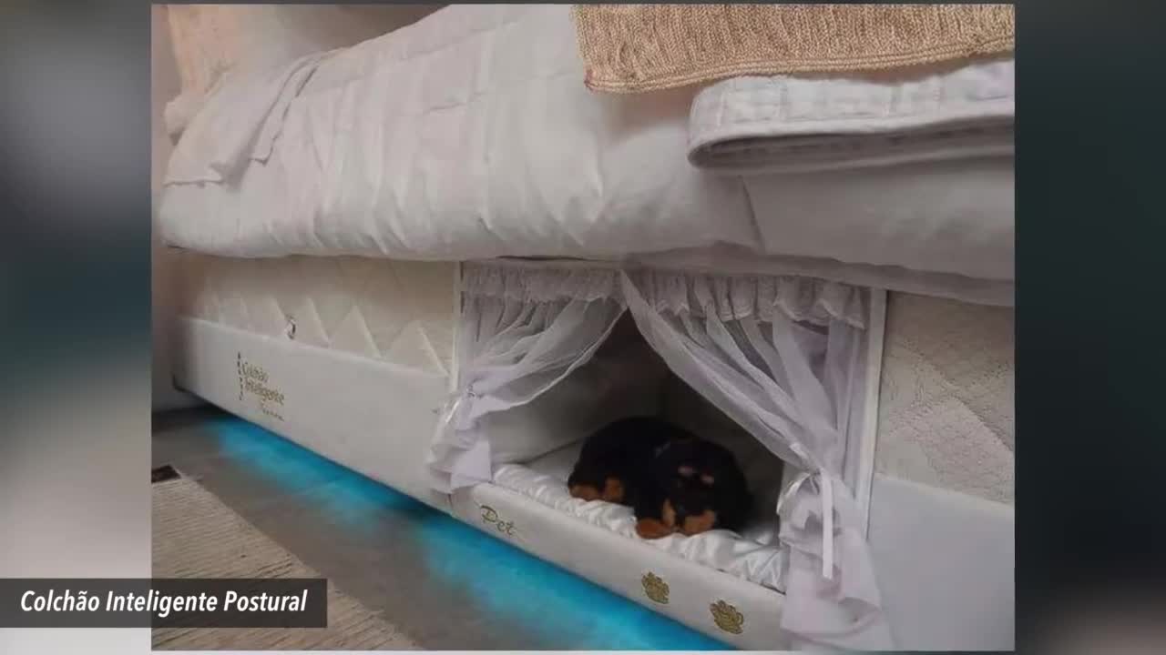 Brazilian Company Creates A Bunk Bed For Pets And Their People
