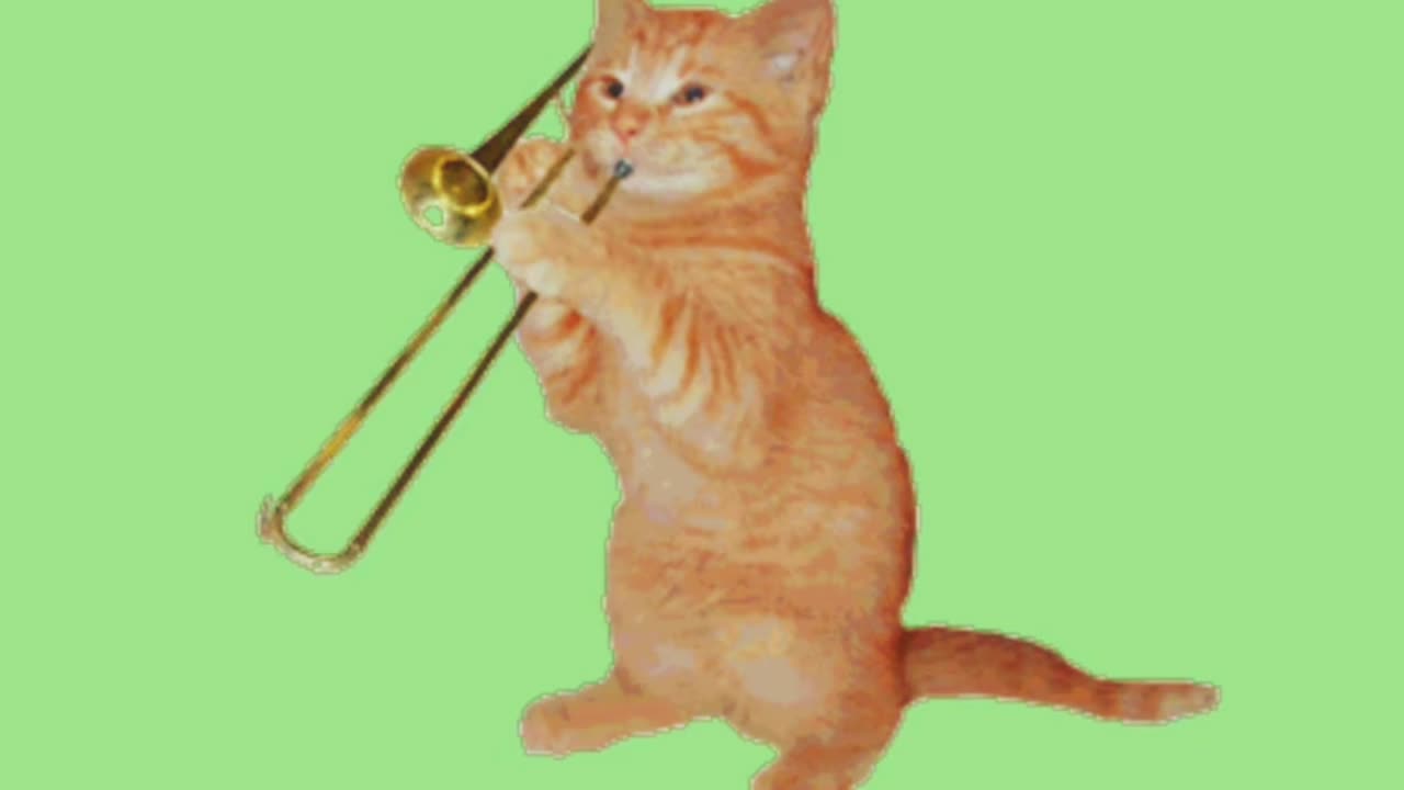 Cat Singing Song