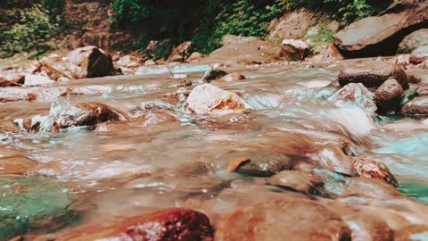 nature