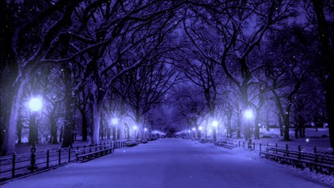 "Serene Escapes: A Journey into Mind Relaxation"