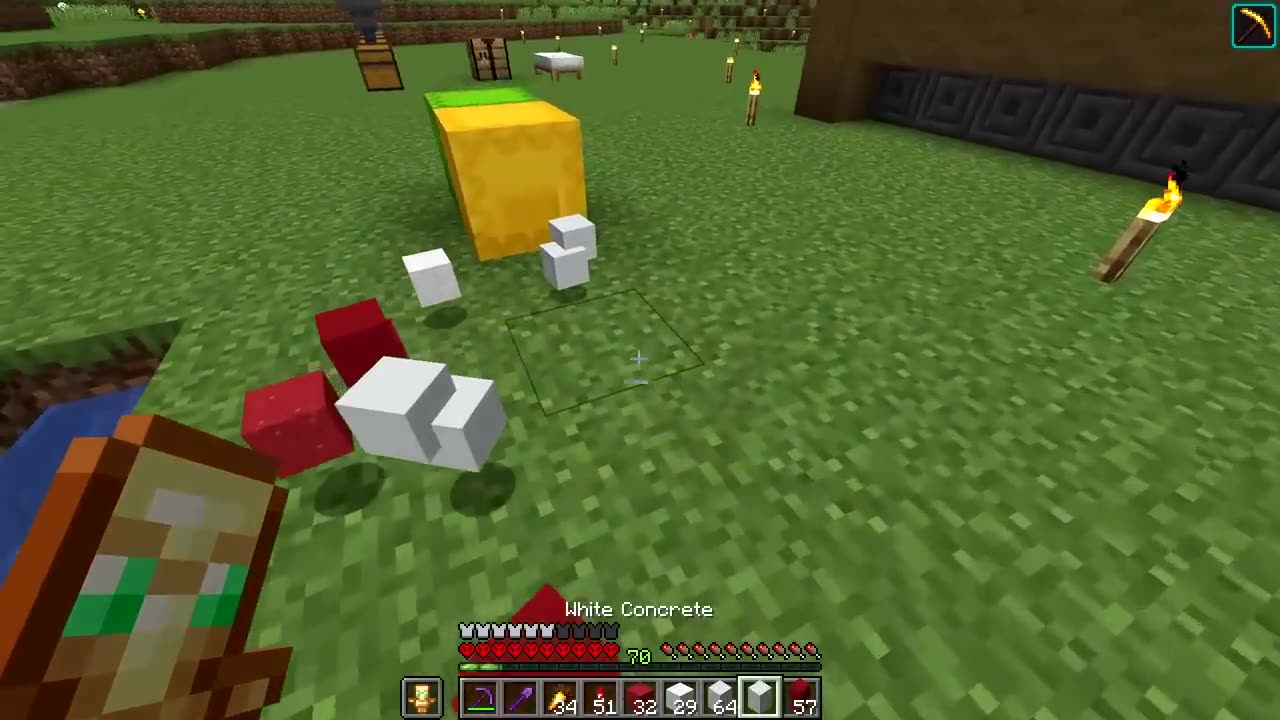 I Transformed Everything Massive in Minecraft Hardcore