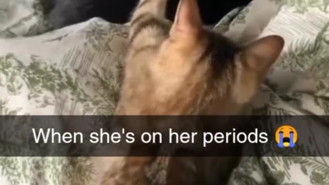When she is on period